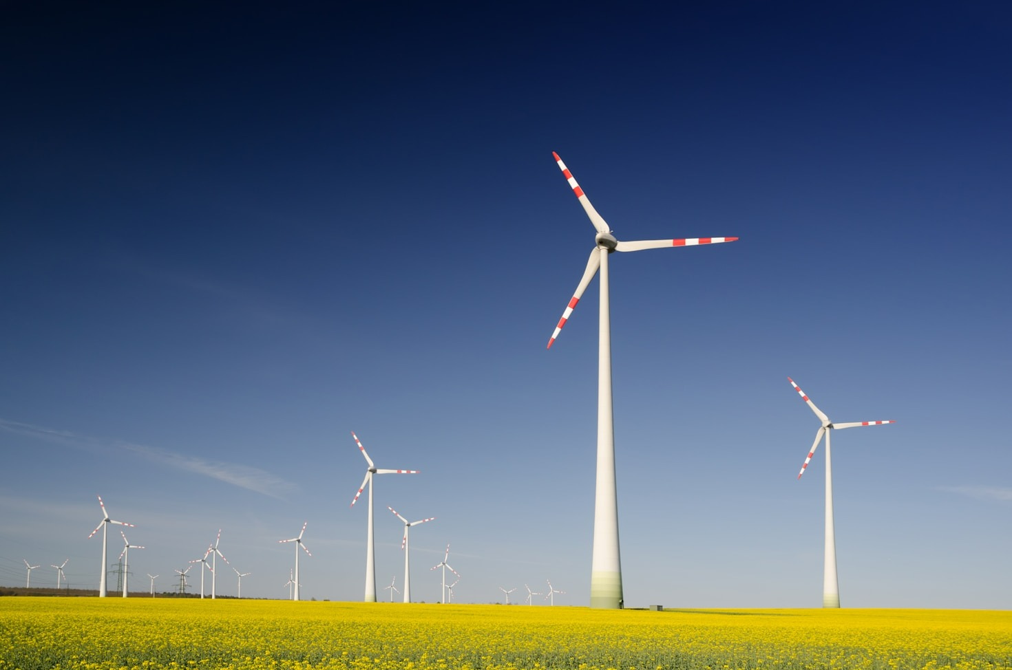 Proyectos innovadores que están reinventando la sostenibilidad